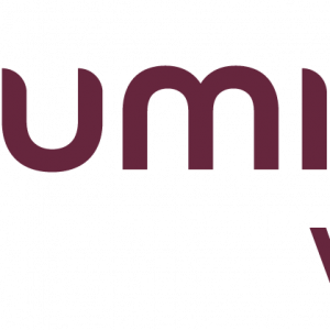 Lumion View